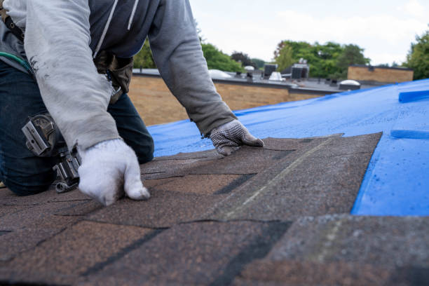 Best Gutter Installation and Roofing  in North Liberty, IN